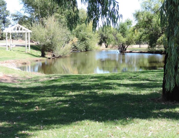 Sit by the lagoon