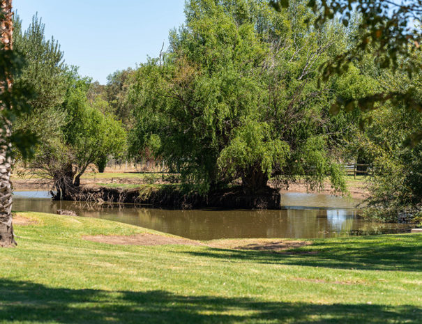 Horseshoe Tourist Park